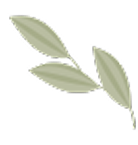 Leaf Decoration